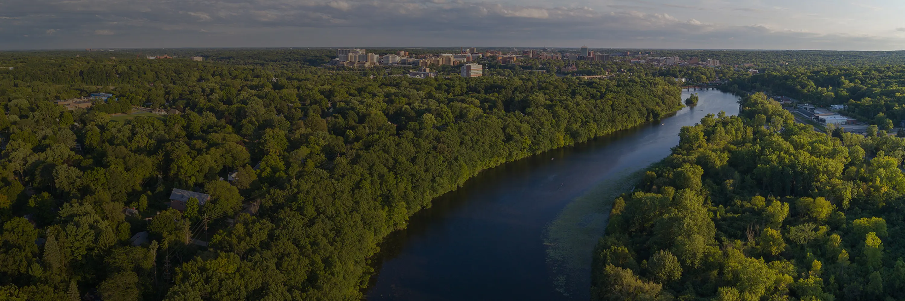 Trees, Transparency, and Trust: How Ann Arbor Is Growing with Intention